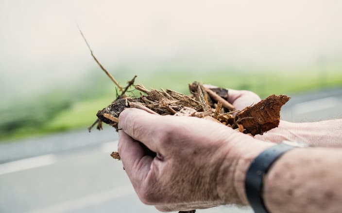 So gelingt die Energieautonomie