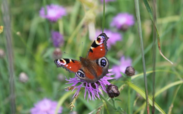 So gelingt die Energieautonomie