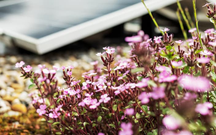 So gelingt die Energieautonomie