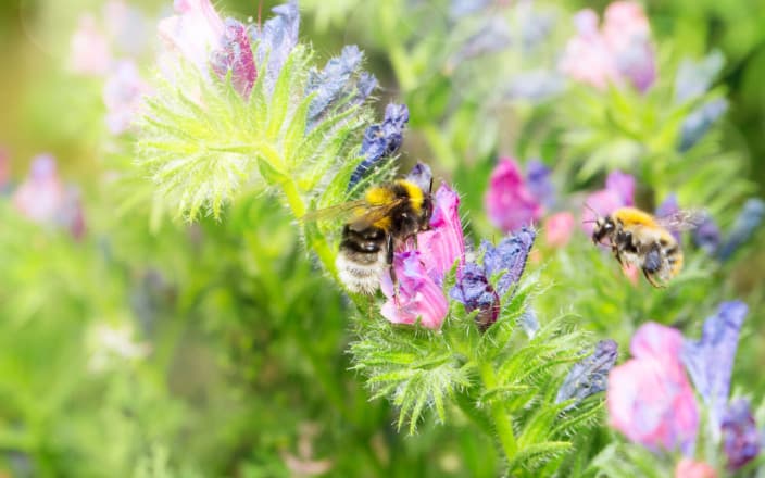 So gelingt die Energieautonomie